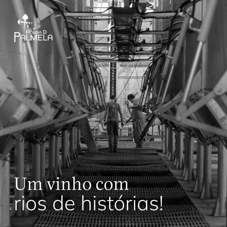 Vinhos com História