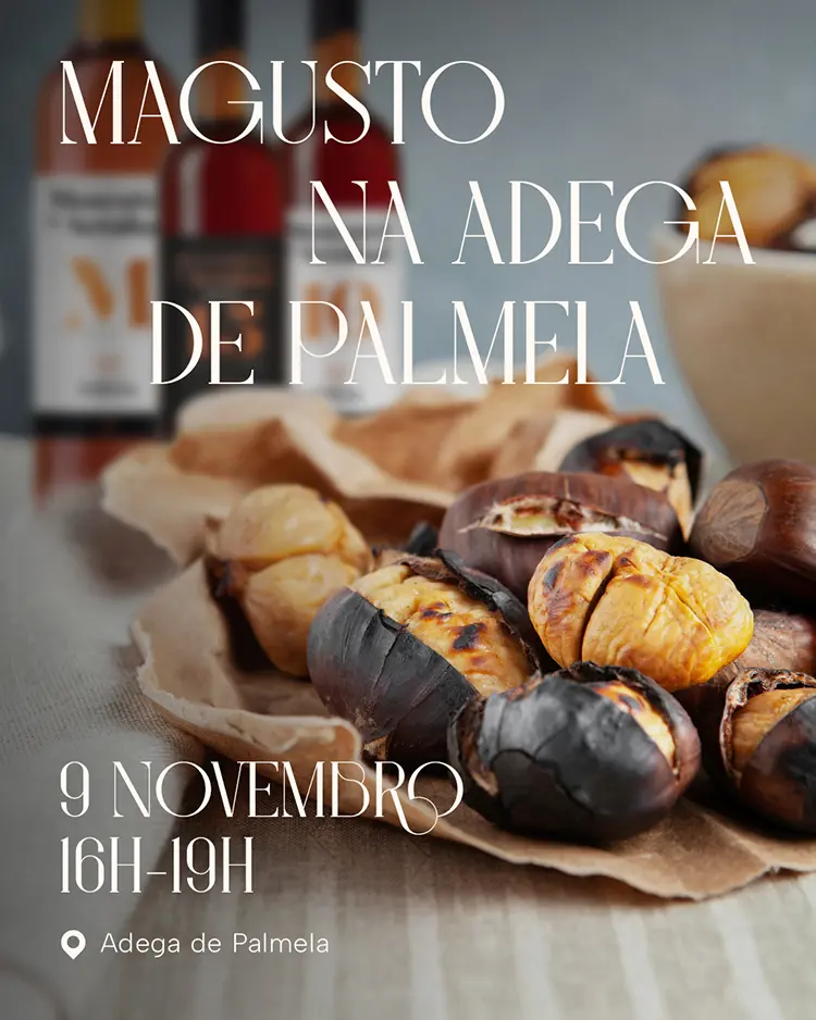 Magusto na Adega de Palmela
