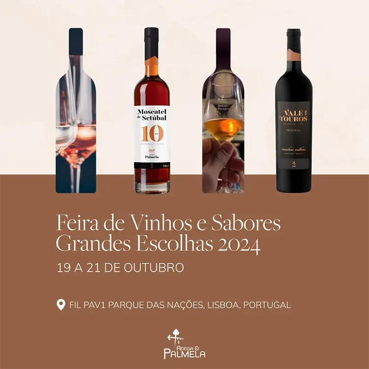 Grandes Escolhas Vinhos e Sabores 2024!