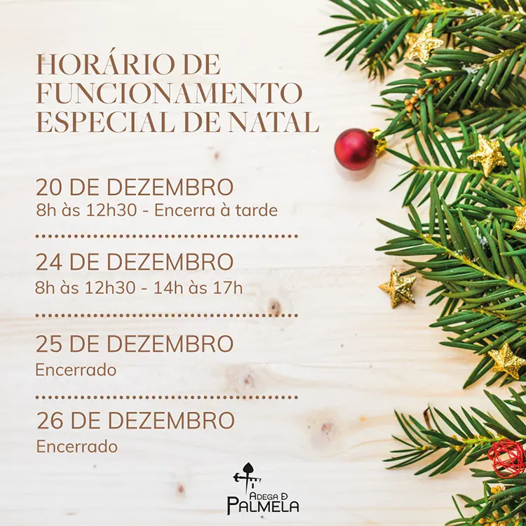 Horário de Funcionamento Especial de Natal