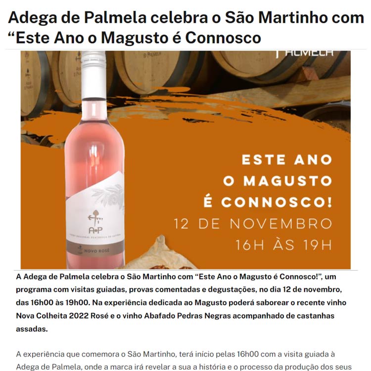 Marketing dos Vinhos